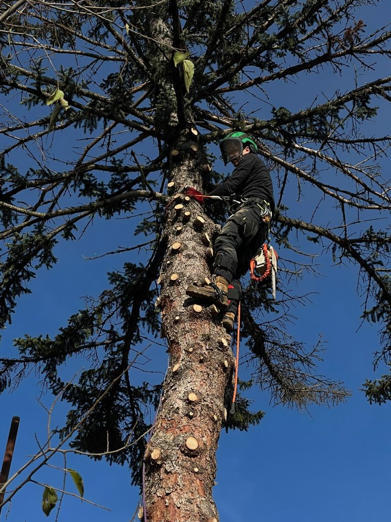Massif fleuri harmonieux devant une terrasse.