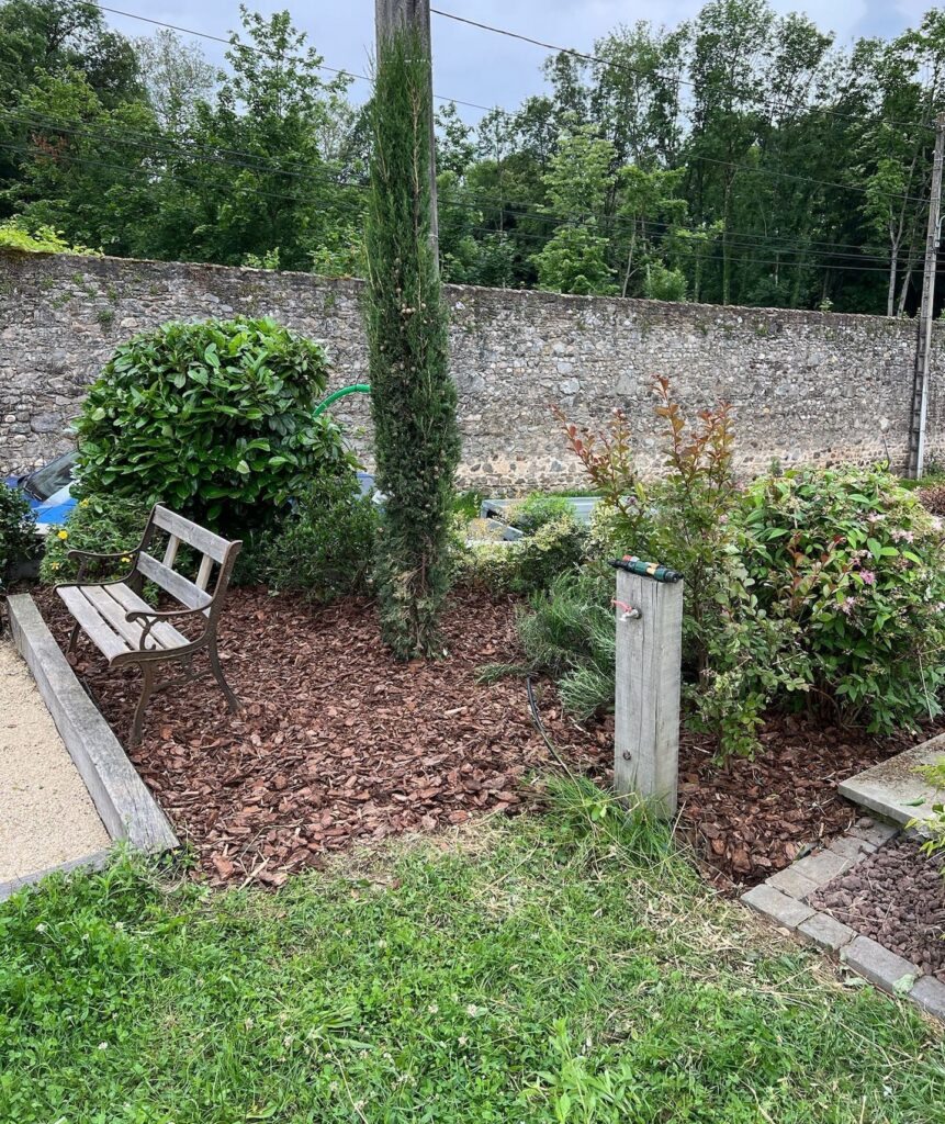 Massif paillé avec cyprès et arbustes le long d’un mur en pierre