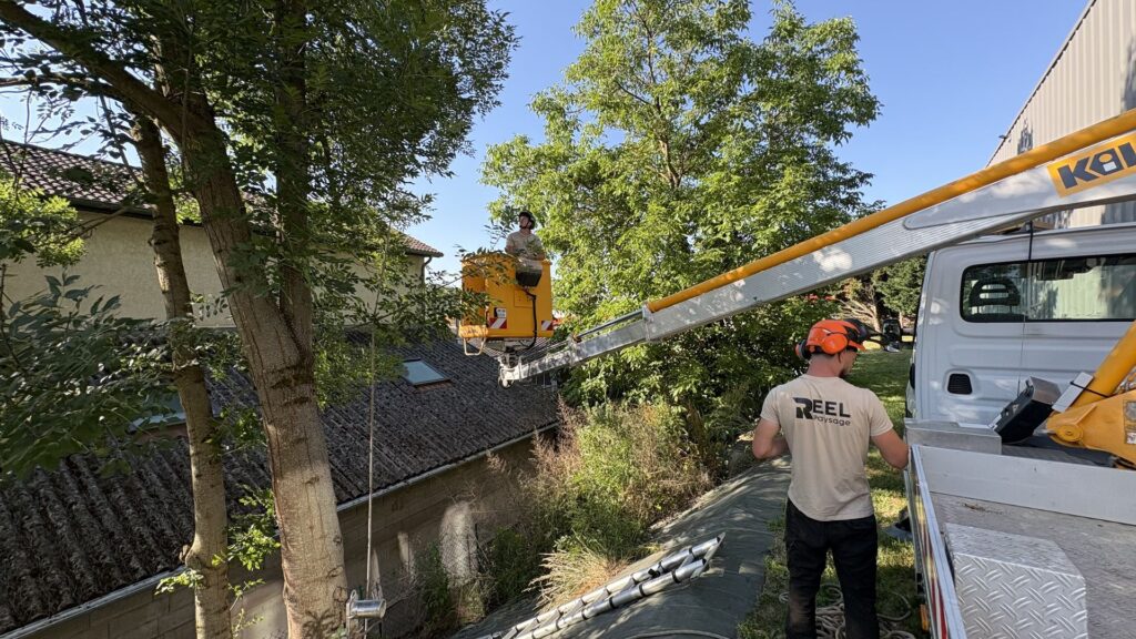 Chantier d’élagage avec nacelle, Réel Paysage