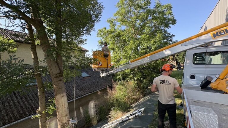 Chantier d’élagage avec nacelle, Réel Paysage